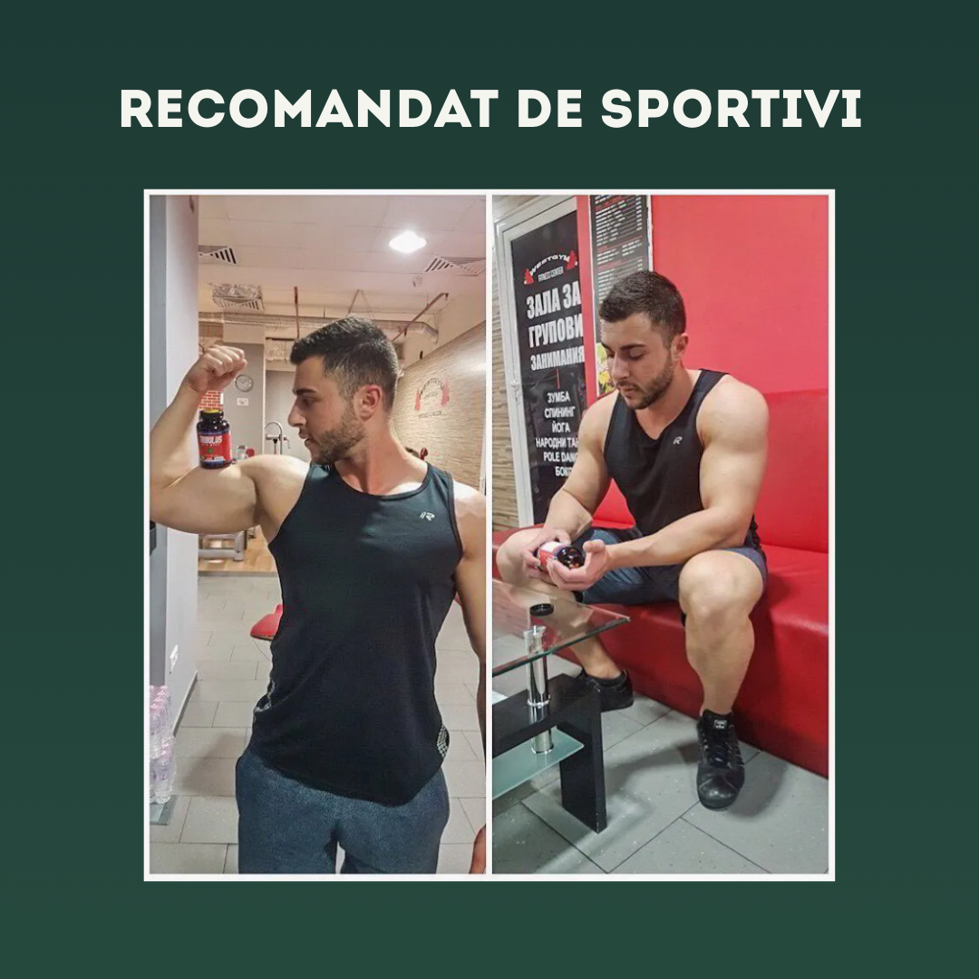 ZDRAVAR 3-în-1 Forte (Tribulus, Maca & Armurariu)